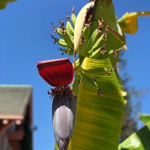 Meet your Posher, Aga